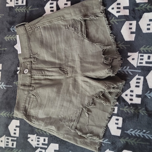 American Eagle Outfitters Pants - NWT American Eagle Shorts (Size 6)
